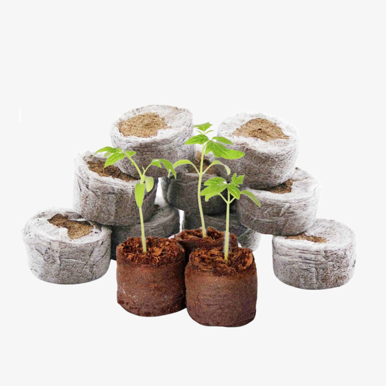 Seed Germination Kit