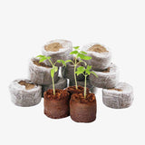 Seed Germination Kit