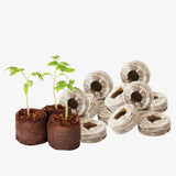 Seed Germination Kit