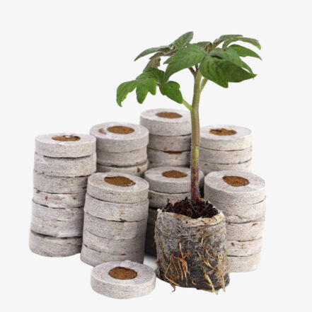 Seed Germination Kit