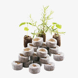 Seed Germination Kit