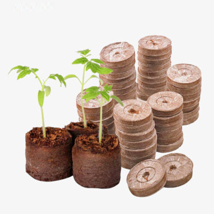 Seed Germination Kit