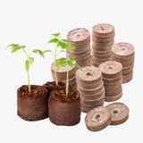 Seed Germination Kit