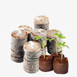 Seed Germination Kit