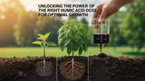COIR GARDEN- Humic Acid Fertilizer  – Organic Soil Conditioner for Improved Plant Growth & Nutrient Absorption