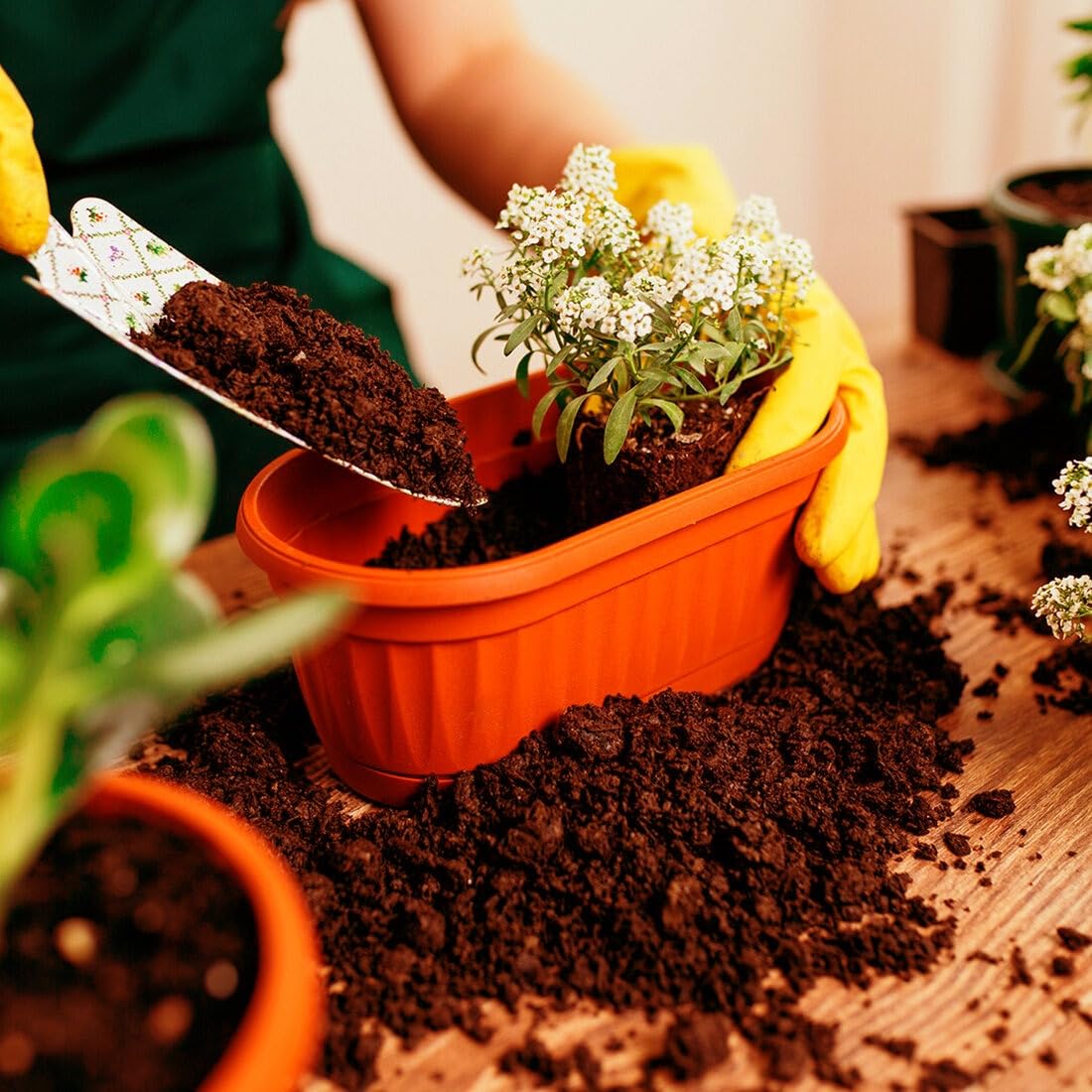 fertile soil for plants Buy Enriched Pure Red Soil for Plants – Premium Quality