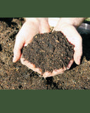 Goat Manure for Home Gardening