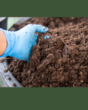 Organic Manure for Plants and Home Gardening