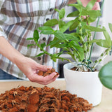 Coconut Husk Chips for Hydroponic Plants