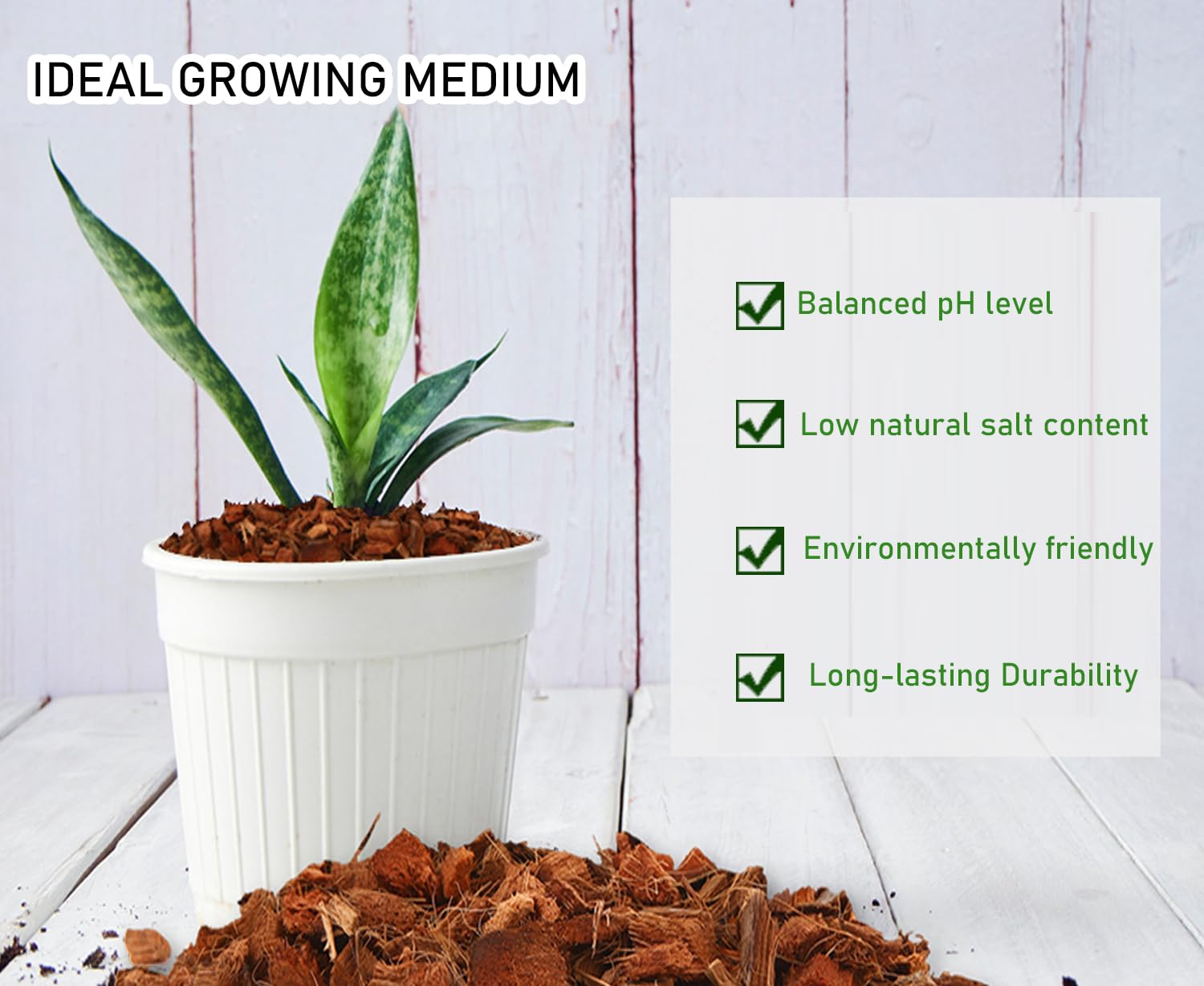 coconut husk hydroponic planting medium CoconBuy Coco Husk Chips Online