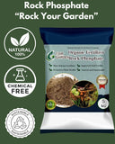 Organic Rock Phosphate Fertilizer