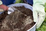 Bone Meal Powder for Plants