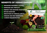 Organic Vermicompost Fertilizer Manure For Plants