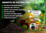 Enriched Organic Potting Soil Mix