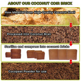 Coco Peat Powder