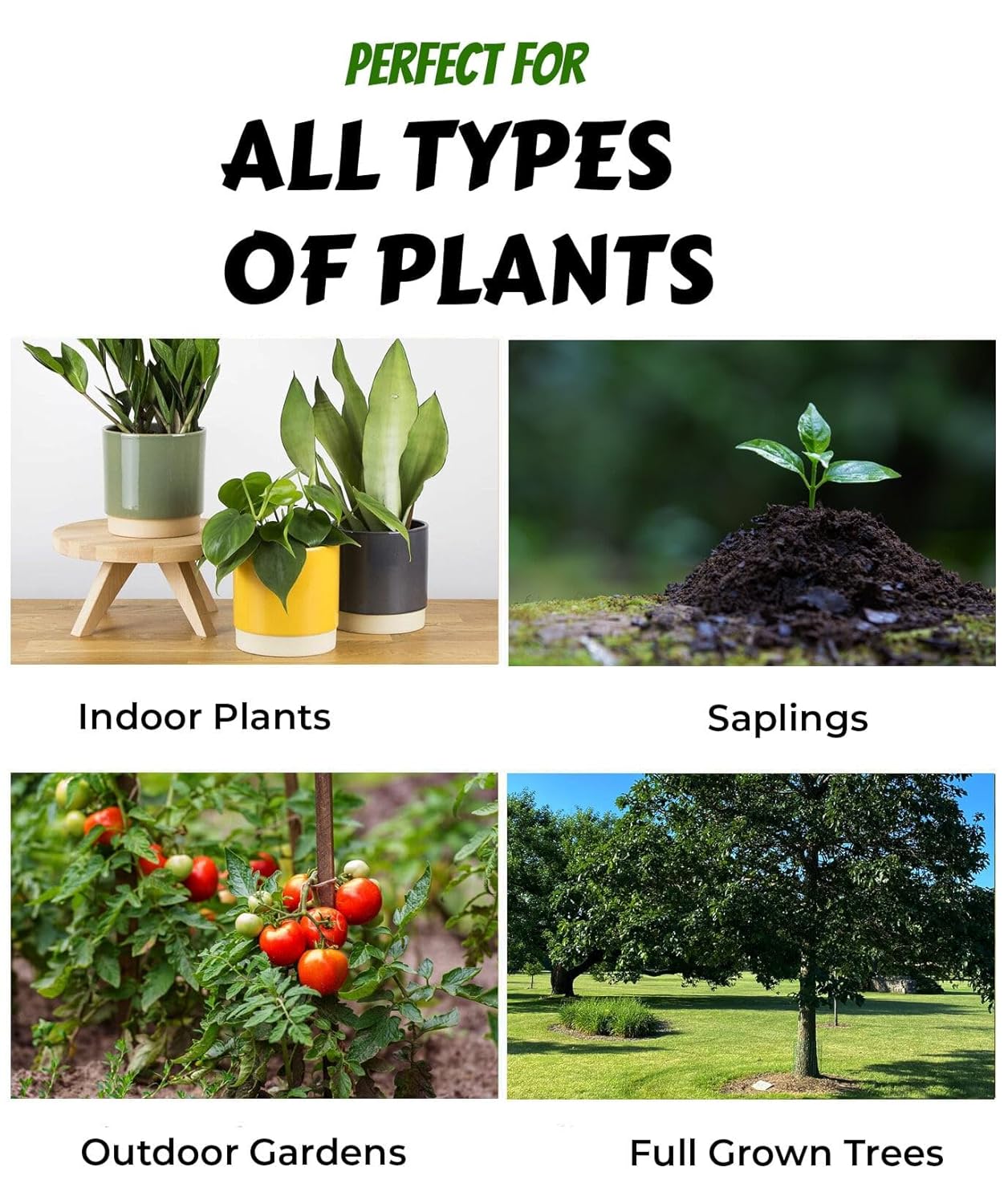 types of soil for indoor plants Enriched Organic Potting Soil Mix – Nutrient-Rich Soil for Healthy Plants