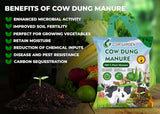 Organic Cow Dung Manure for Plants