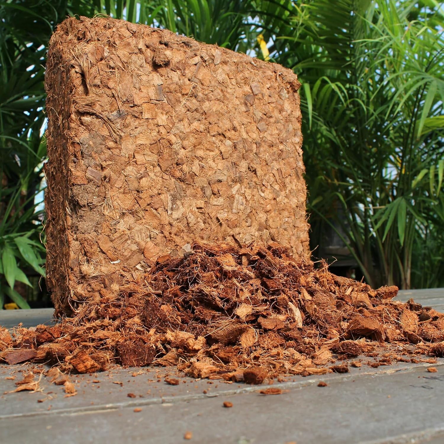 coconut husk hydroponic planting medium CoconBuy Coco Husk Chips Online