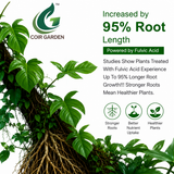 COIR GARDEN- Fulvic Acid  – Natural Plant Growth Stimulator | Enhances Nutrient Absorption & Root Development