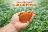 COIR GARDEN- Fulvic Acid  – Natural Plant Growth Stimulator | Enhances Nutrient Absorption & Root Development