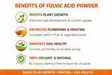COIR GARDEN- Fulvic Acid  – Natural Plant Growth Stimulator | Enhances Nutrient Absorption & Root Development