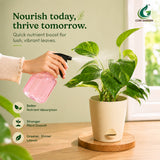 COIR GARDEN- NPK 19-19-19 FERTILIZER - Water Soluble Fertilizer – Balanced Nitrogen, Phosphorus & Potassium for Uniform Crop Growth and Higher Yield.