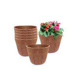 Coir Round Flower Pots