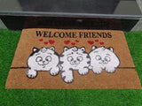 Welcome Friends Door Mat | coirgarden