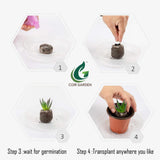 Seed Germination Kit 